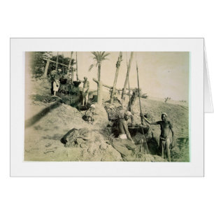Schattenfische in Oberägypten (Sepia-Foto)