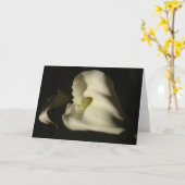 Schattenhafte Callas Karte (Gelbe Blume)