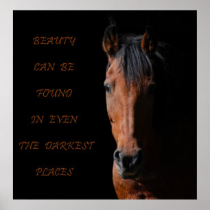 Schattenpferd Inspirational Poster