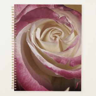 Schattenplaner für Rose Planer