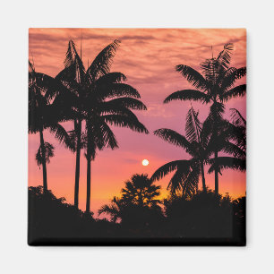 Schattenrisse von Palmen, Hawaii Magnet