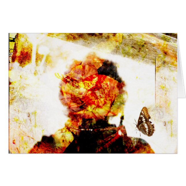 Schattenschmetterlingssammlung (Vorderseite (Horizontal))