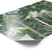 Schattenspender Fotodruck (Ecke)