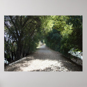 Schattenweg Poster
