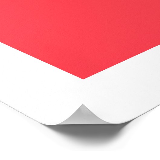 SchatterGaze Poster (Ecke)