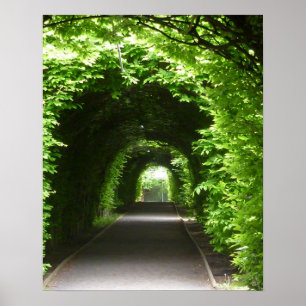 Schattierte botanischer Garten-Laube Poster