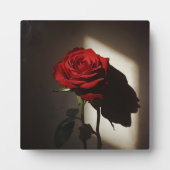 Schattierte Rote Rose - Dramatischer Chiaroscuro F Fotoplatte (Vorderseite)