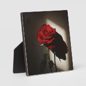 Schattierte Rote Rose - Dramatischer Chiaroscuro F Fotoplatte (Vorderseite)
