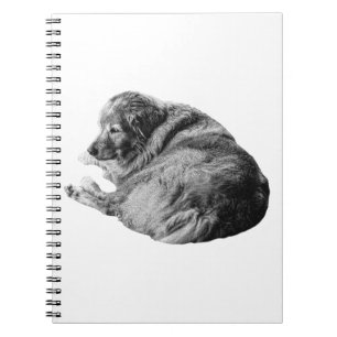 Schattierter Hund inspiriert sanften Feiertags-Jou Notizblock