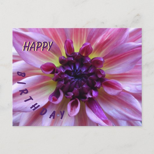 Schattierungen der Lila Dahlia Happy Birthday Post Postkarte (Vorderseite)