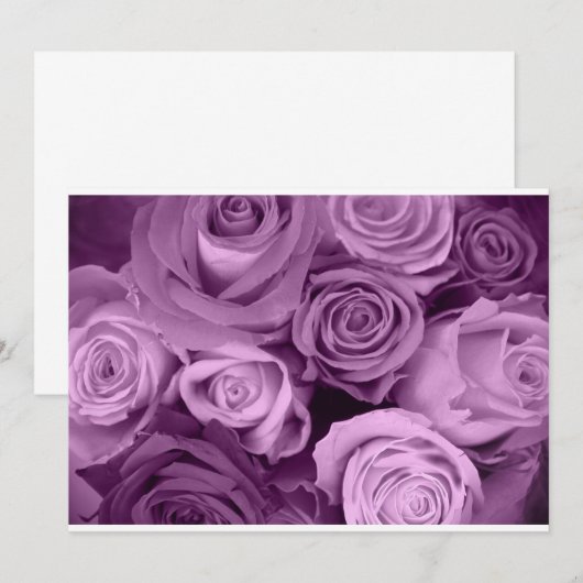 Schattierungen Lila Rose (Vorne/Hinten)