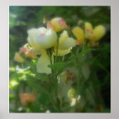 schattig poster (Vorne)