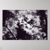 schattig poster (Vorne)