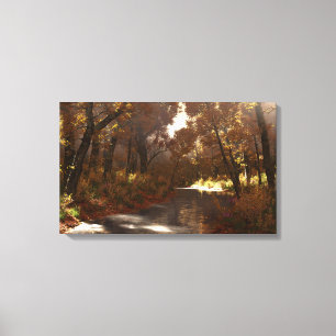Schattige Creek (Herbst), Canvas Print Leinwanddruck