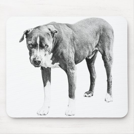 Schattige Pit Bull-Schreibtisch Mousepad (Vorne)