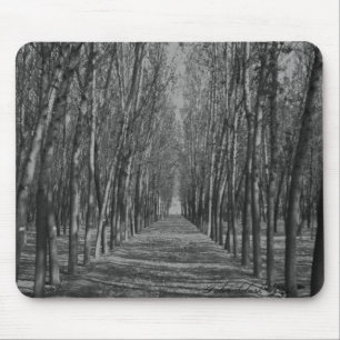 Schattige Weise Mousepad