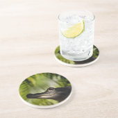 Schattiger AlligatorUntersetzer Getränkeuntersetzer (Seite)