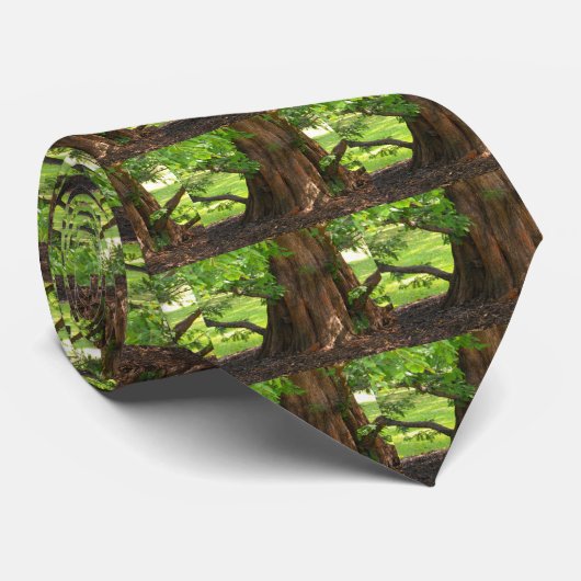 Schattiger Baum Krawatte (Gerollt)