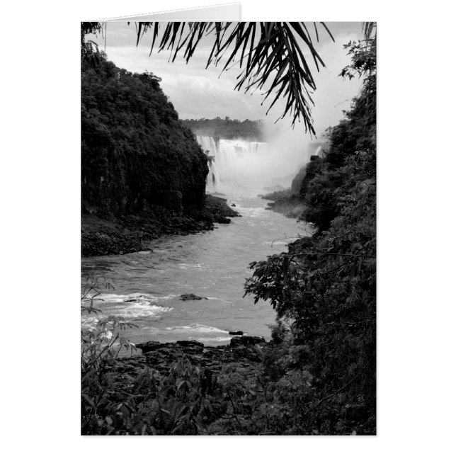 Schatz im Dschungel (Vorne)