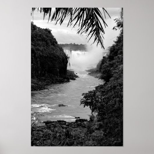 Schatz im Dschungel Poster (Vorne)