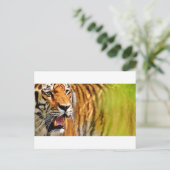 Schatz Postkarte (Stehend Vorderseite)