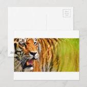 Schatz Postkarte (Vorne/Hinten)