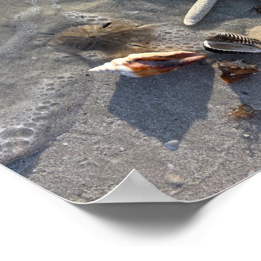 Schätze am Strand Poster (Ecke)