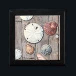 Schätze an der Küste Geschenkbox<br><div class="desc">Megan Meagher ist bekannt für ihre einfachen Kunstwerke. Dieses Bild zeigt die Einfachheit der Schätze der Küste, einschließlich Sand Dollars und Muscheln in einem pastellfarbenen Ton. Meagher umschließt einen hölzernen Hintergrund in ihrem Bild, um diese Schätze zu kontrastieren. Holen Sie sich diesen Kunstdruck heute auf Holzfarbe auf Ihrem Zazzle-Produkt.</div>