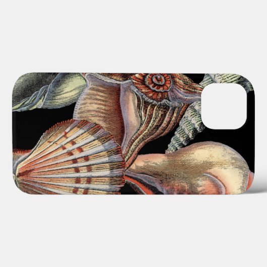 Schätze des Meeres Case-Mate iPhone Hülle (Rückseite (Horizontal))