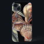 Schätze des Meeres Case-Mate iPhone Hülle<br><div class="desc">Dieser Kunstdruck zeigt die schönsten Dinge in der Natur des Ozeans. Auf diesem Bild finden Sie alle Arten von Meereslebewesen,  darunter eine Conch Seashell,  Sand Dollars und Riffe,  die tief im Meer vergraben sind. Diese Kunstsammlung ist ein Muss für Ihre nächsten Zazzle-Produkte.</div>