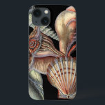 Schätze des Meeres Case-Mate iPhone Hülle<br><div class="desc">Dieser Kunstdruck zeigt die schönsten Dinge in der Natur des Ozeans. Auf diesem Bild finden Sie alle Arten von Meereslebewesen,  darunter eine Conch Seashell,  Sand Dollars und Riffe,  die tief im Meer vergraben sind. Diese Kunstsammlung ist ein Muss für Ihre nächsten Zazzle-Produkte.</div>