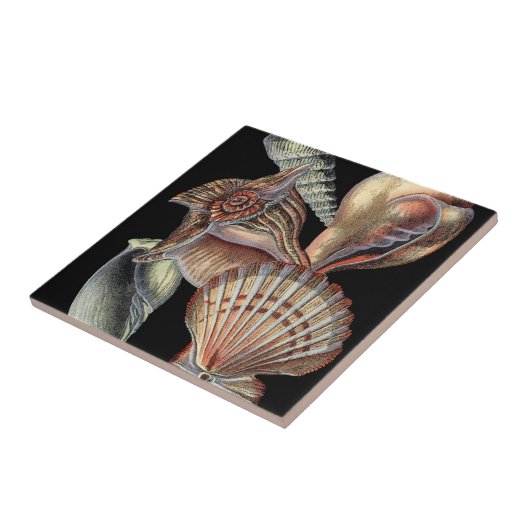 Schätze des Meeres Fliese (Seite)