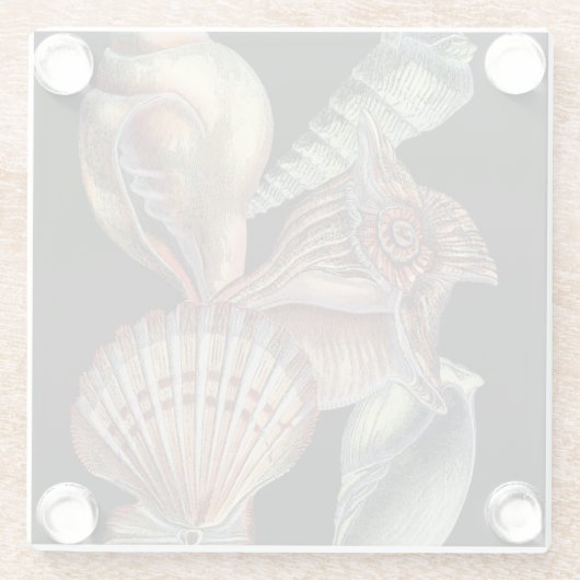 Schätze des Meeres Glasuntersetzer (Rückseite)