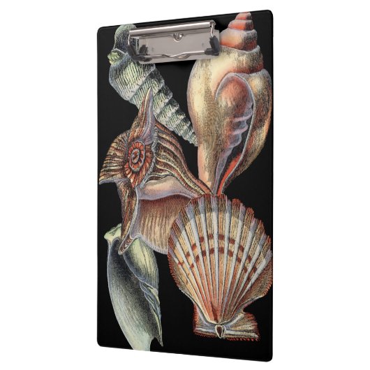 Schätze des Meeres Klemmbrett (Links)