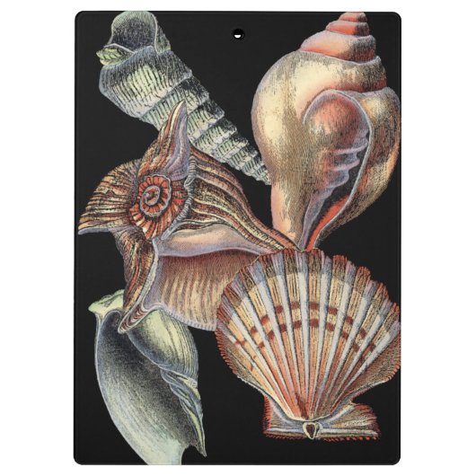 Schätze des Meeres Klemmbrett (Rückseite)