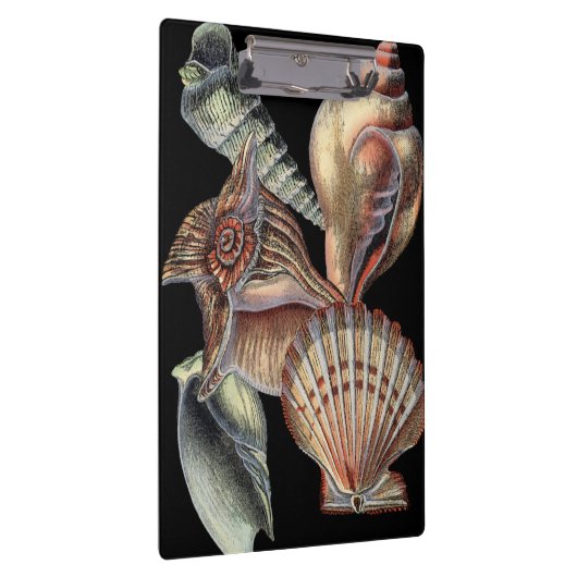 Schätze des Meeres Klemmbrett (Rechts)