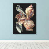 Schätze des Meeres Leinwanddruck (Insitu (Holzboden))