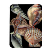 Schätze des Meeres Magnet (Vertikal)