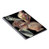 Schätze des Meeres Notizblock (Rechte Seite)