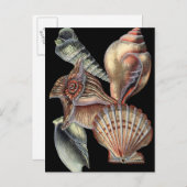 Schätze des Meeres Postkarte (Vorne/Hinten)