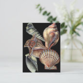 Schätze des Meeres Postkarte (Stehend Vorderseite)