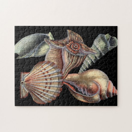 Schätze des Meeres Puzzle (Horizontal)