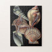Schätze des Meeres Puzzle (Vertikal)