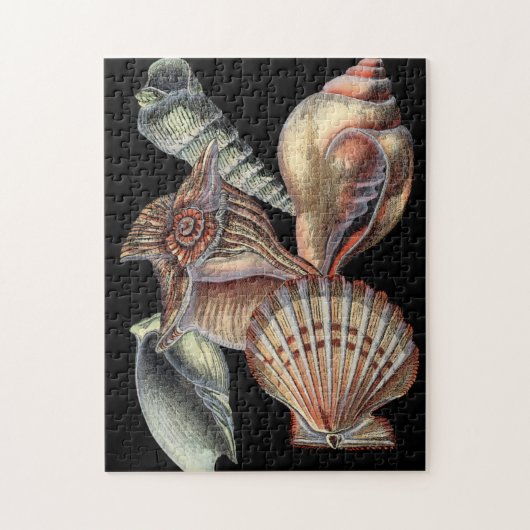 Schätze des Meeres Puzzle (Vertikal)