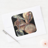 Schätze des Meeres Quadratischer Aufkleber (Umschlag)