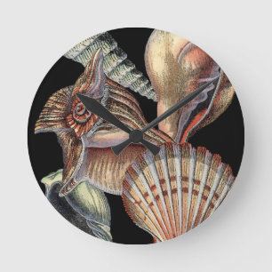 Schätze des Meeres Runde Wanduhr