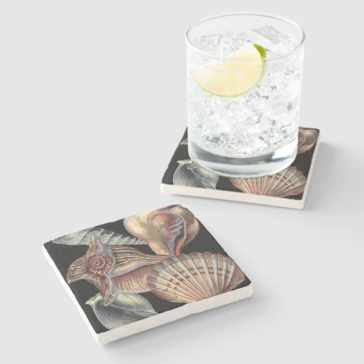 Schätze des Meeres Steinuntersetzer (Seitenansicht)