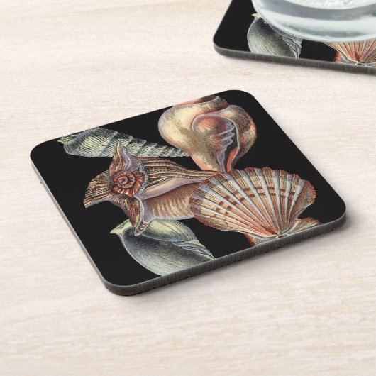 Schätze des Meeres Untersetzer (Linke Seite)