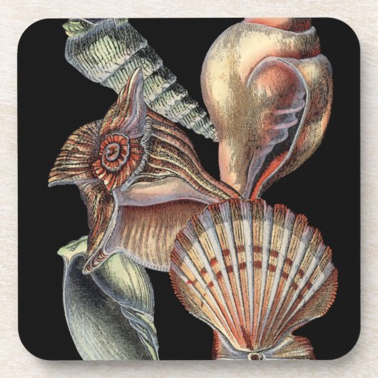 Schätze des Meeres Untersetzer (Vorderseite)