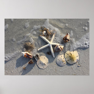 Schätze des Strandes bei Ebbe Poster